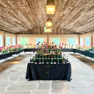 Single Bloom Competition 5